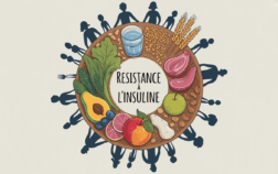 assiette equilibree resistance a l insuline famille nutrition