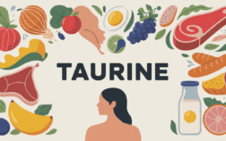 taurine aliments variés silhouette humaine