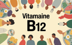 Aliments variés sources de vitamine B12 à tous âges