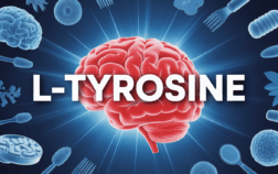 cerveau lumineux l-tyrosine aliments energie