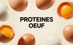 Image oeuf entiers ouverts proteines oeuf nutrition