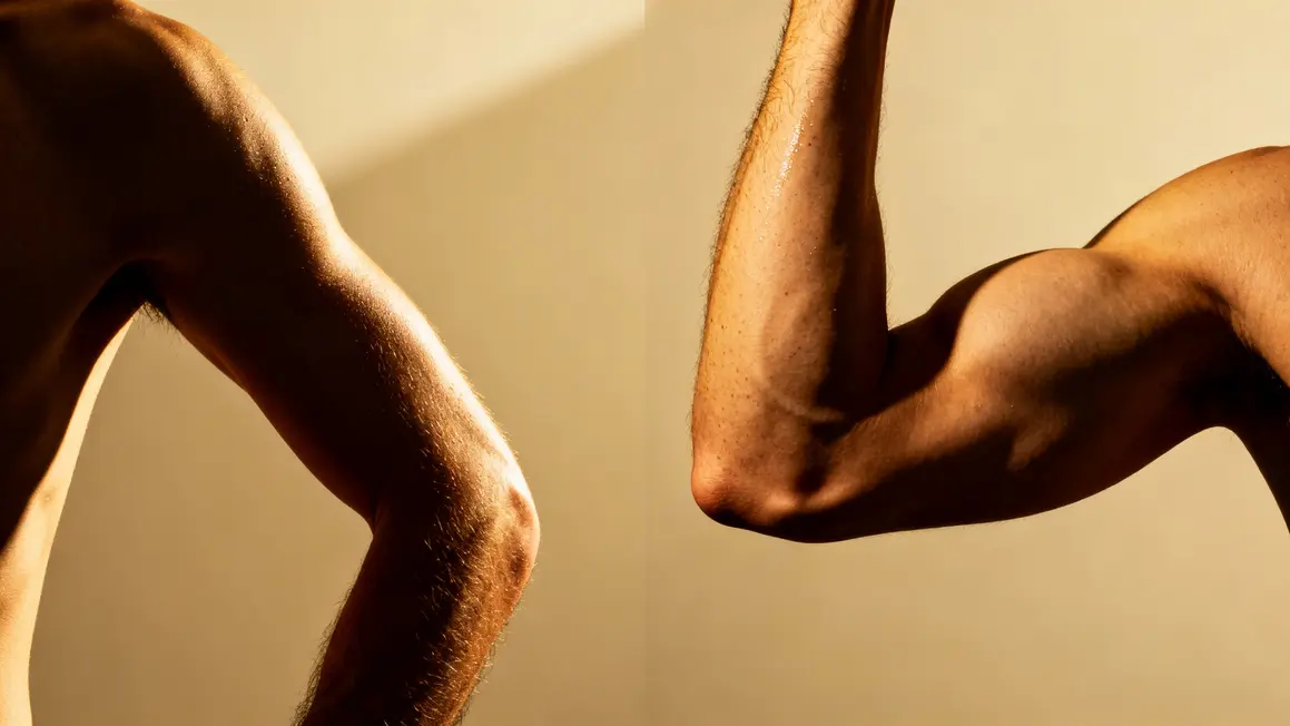 differences triceps long et court morphologie bras