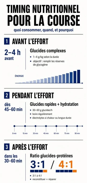 Infographie sur l'alimentation en course à pied : timing nutritionnel avant, pendant et après l'effort pour optimiser la performance.